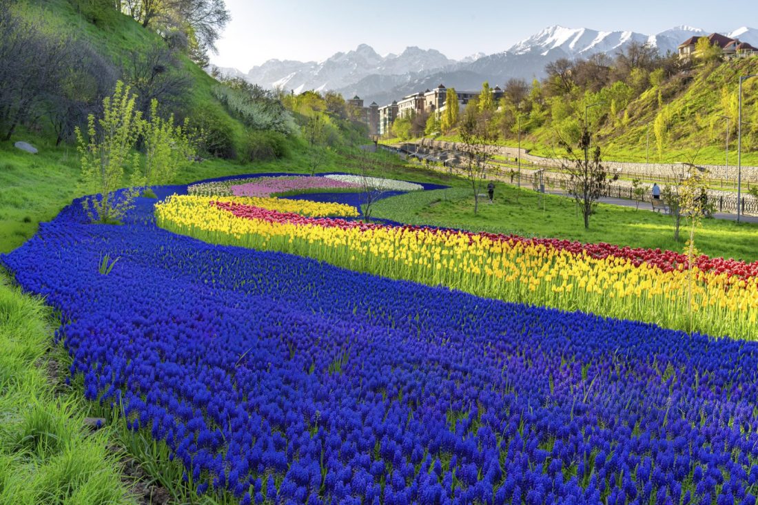 Дмитрий Доценко